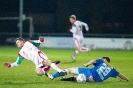 12_wels-vsv20111111