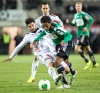 06_ried-wac20131214
